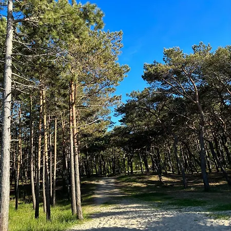 Goscinne Max בית הארחה