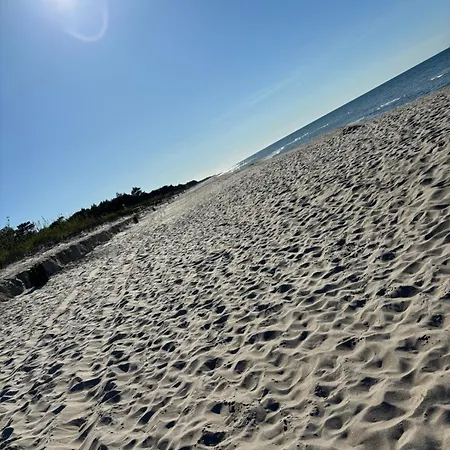 Goscinne Max Władysławowo