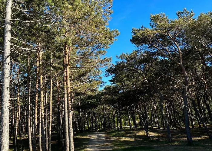 Goscinne Max Penzion